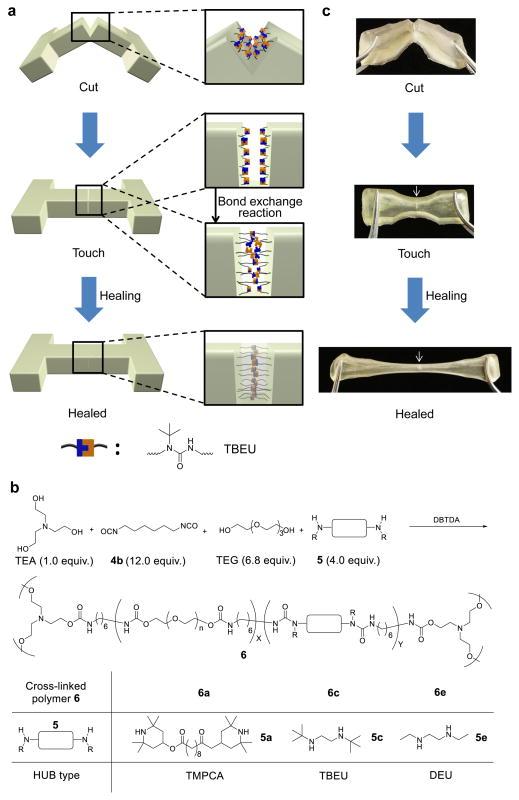 https://cdn.ncbi.nlm.nih.gov/pmc/blobs/d183/4438999/835b46a34d57/nihms554614f3.jpg