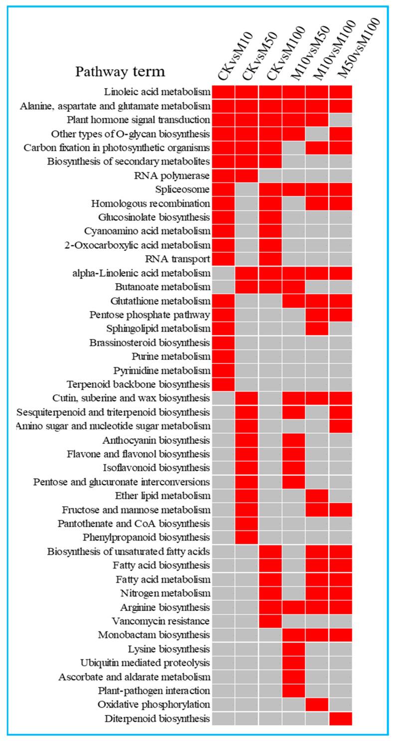 https://cdn.ncbi.nlm.nih.gov/pmc/blobs/d186/8998883/92da82b804ee/ijms-23-03704-g005.jpg