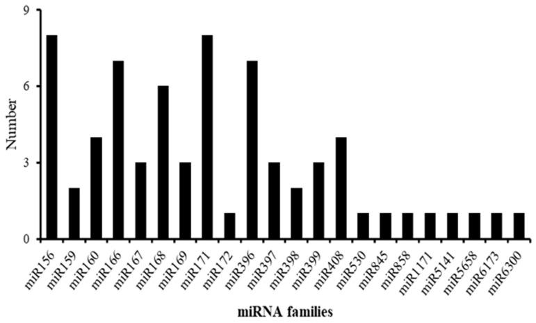 https://cdn.ncbi.nlm.nih.gov/pmc/blobs/d186/8998883/d4b39d6a0642/ijms-23-03704-g003.jpg