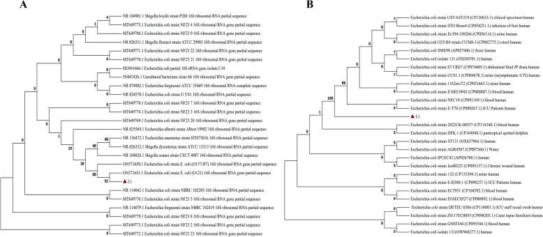 https://cdn.ncbi.nlm.nih.gov/pmc/blobs/d187/12107772/86b7ba93fe65/12917_2025_4817_Fig4_HTML.jpg