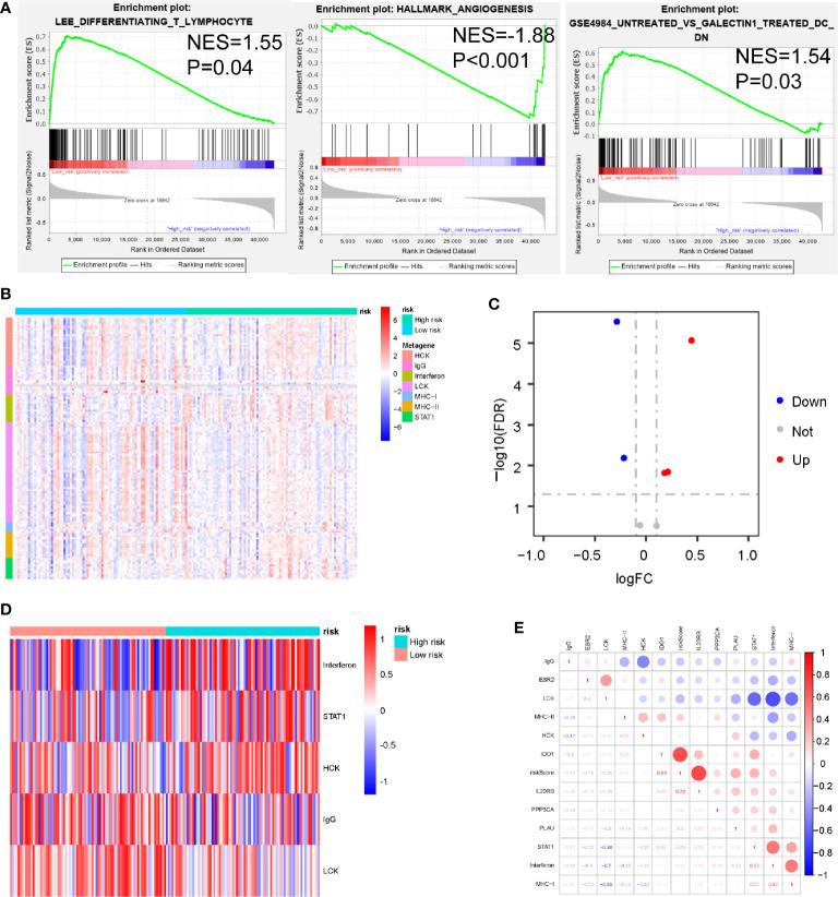 https://cdn.ncbi.nlm.nih.gov/pmc/blobs/d187/7945593/1befcdcb53e3/fonc-10-618215-g005.jpg