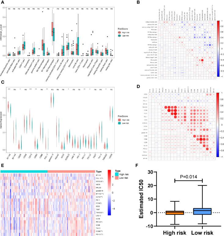 https://cdn.ncbi.nlm.nih.gov/pmc/blobs/d187/7945593/67c4e1d8247c/fonc-10-618215-g006.jpg