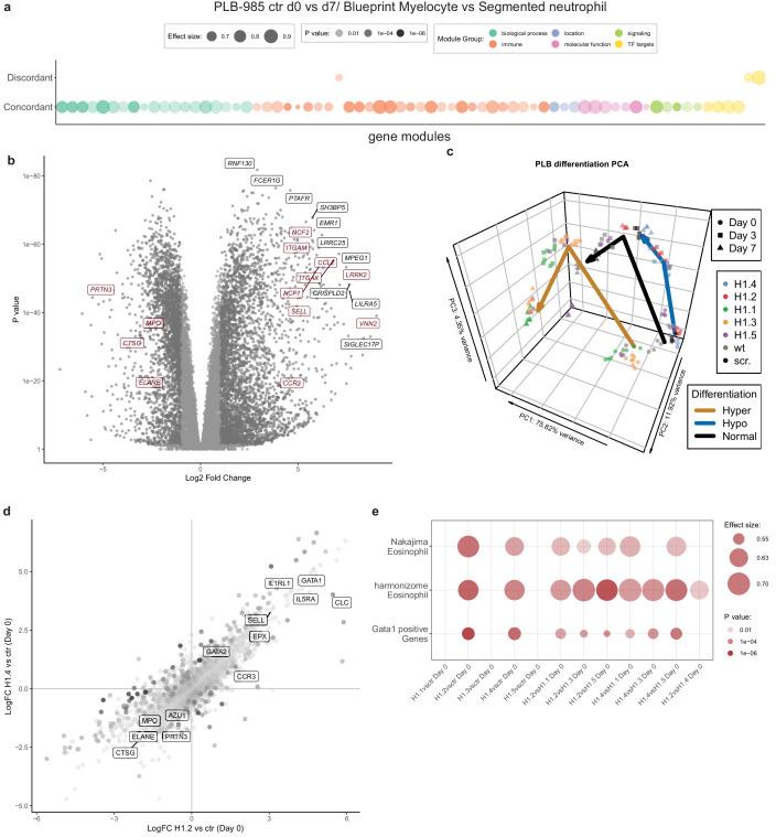 https://cdn.ncbi.nlm.nih.gov/pmc/blobs/d188/7250579/157ffb33fd7f/elife-52563-fig4.jpg