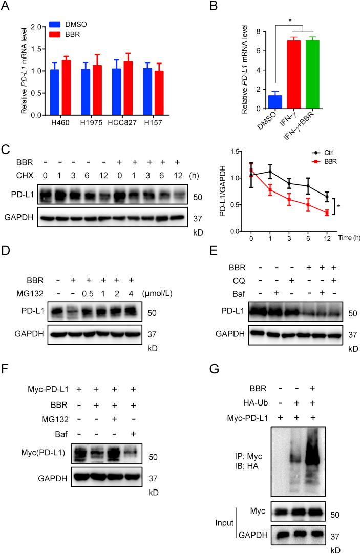 https://cdn.ncbi.nlm.nih.gov/pmc/blobs/d18c/7745128/54a3a507337b/gr5.jpg