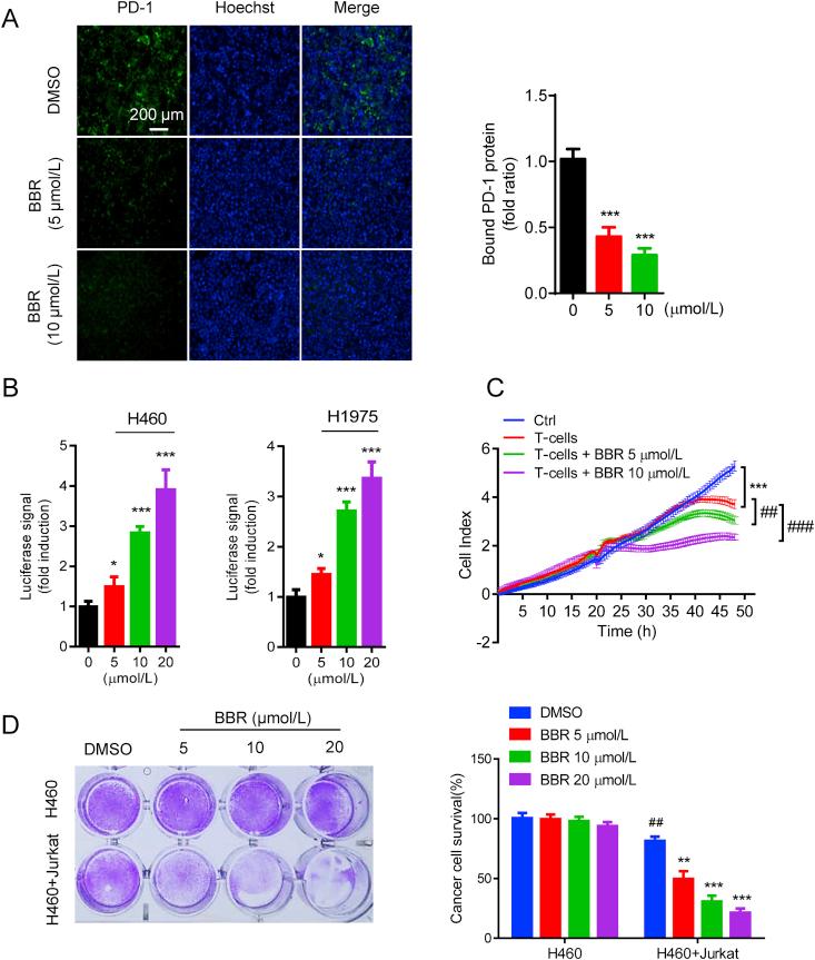 https://cdn.ncbi.nlm.nih.gov/pmc/blobs/d18c/7745128/b0d19ad10581/gr2.jpg