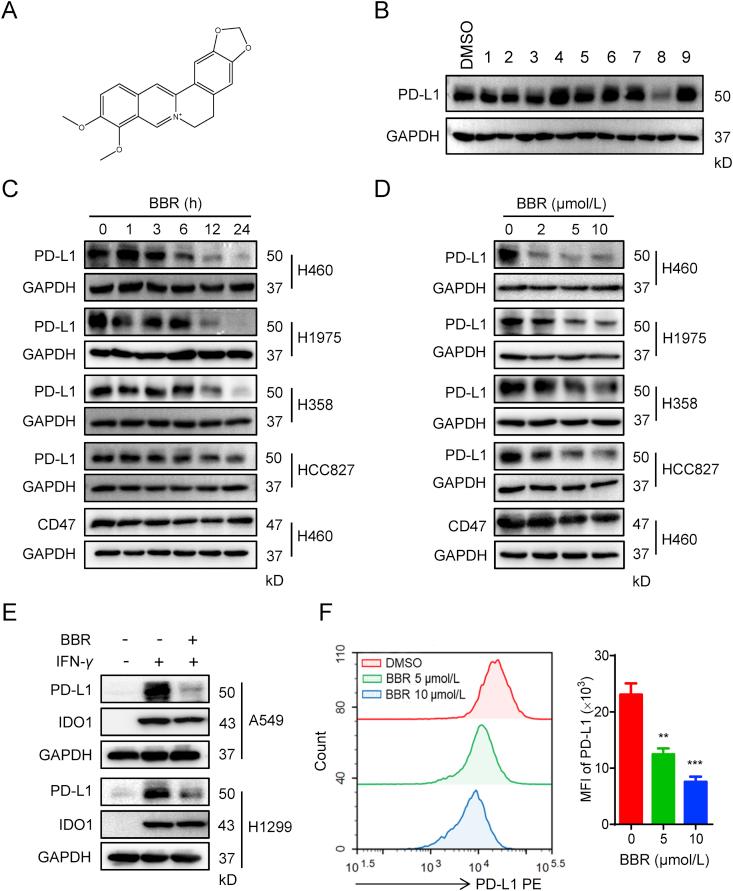https://cdn.ncbi.nlm.nih.gov/pmc/blobs/d18c/7745128/cc6527841bfa/gr1.jpg