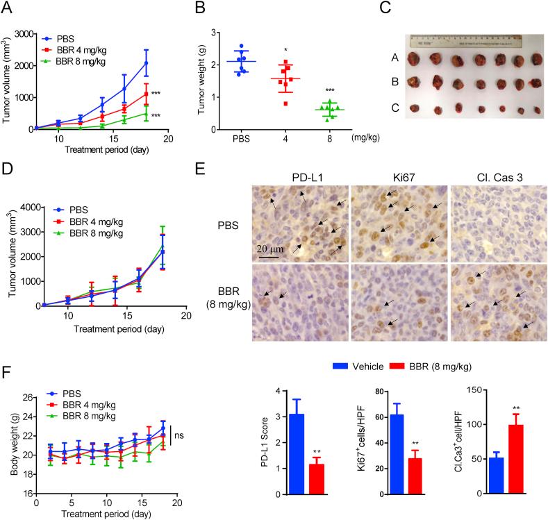 https://cdn.ncbi.nlm.nih.gov/pmc/blobs/d18c/7745128/fed9a8a26a57/gr3.jpg