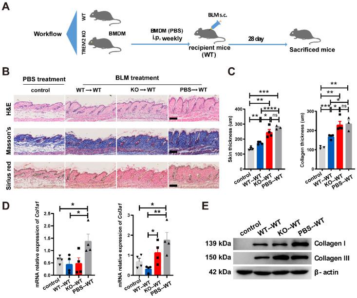 https://cdn.ncbi.nlm.nih.gov/pmc/blobs/d18d/10945340/12f39fb95cc6/thnov14p2232g005.jpg