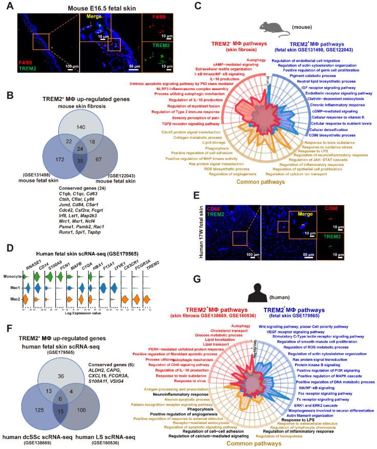 https://cdn.ncbi.nlm.nih.gov/pmc/blobs/d18d/10945340/3507c15a909f/thnov14p2232g006.jpg