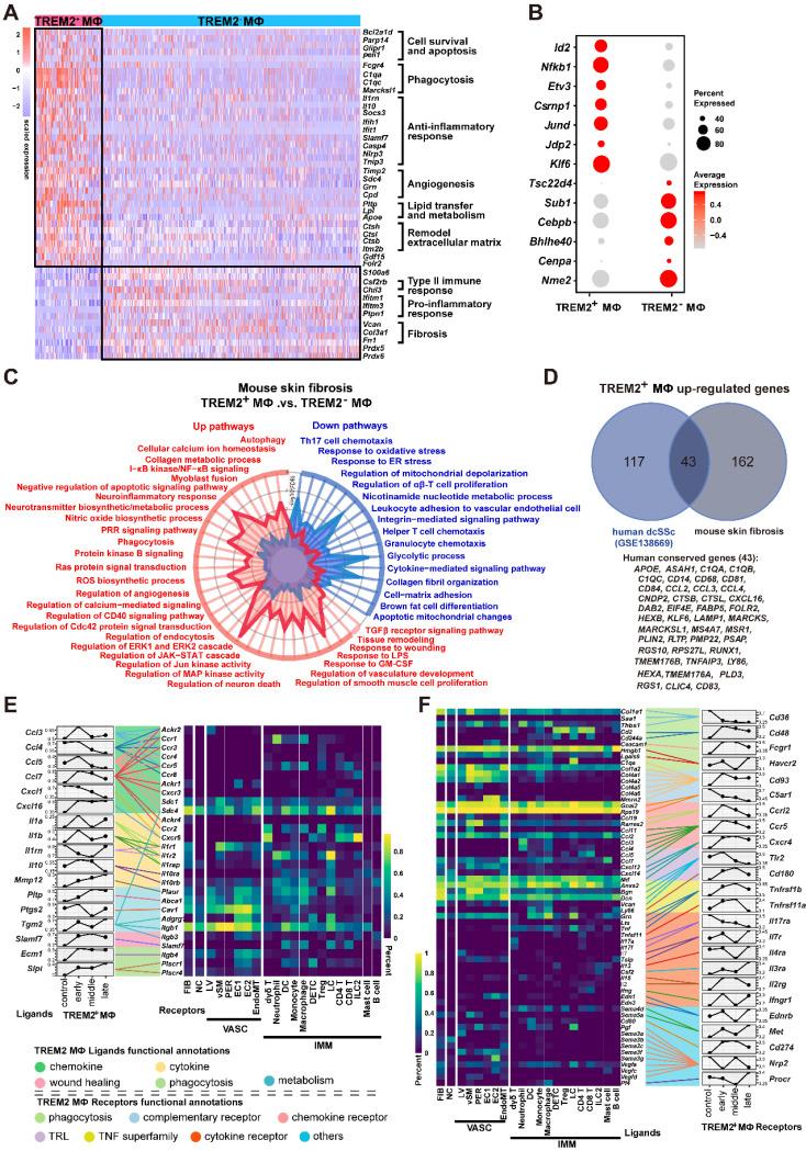 https://cdn.ncbi.nlm.nih.gov/pmc/blobs/d18d/10945340/80657846ef94/thnov14p2232g003.jpg