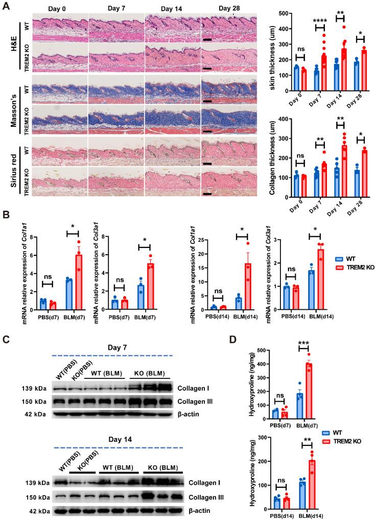 https://cdn.ncbi.nlm.nih.gov/pmc/blobs/d18d/10945340/9b714b853b8d/thnov14p2232g004.jpg