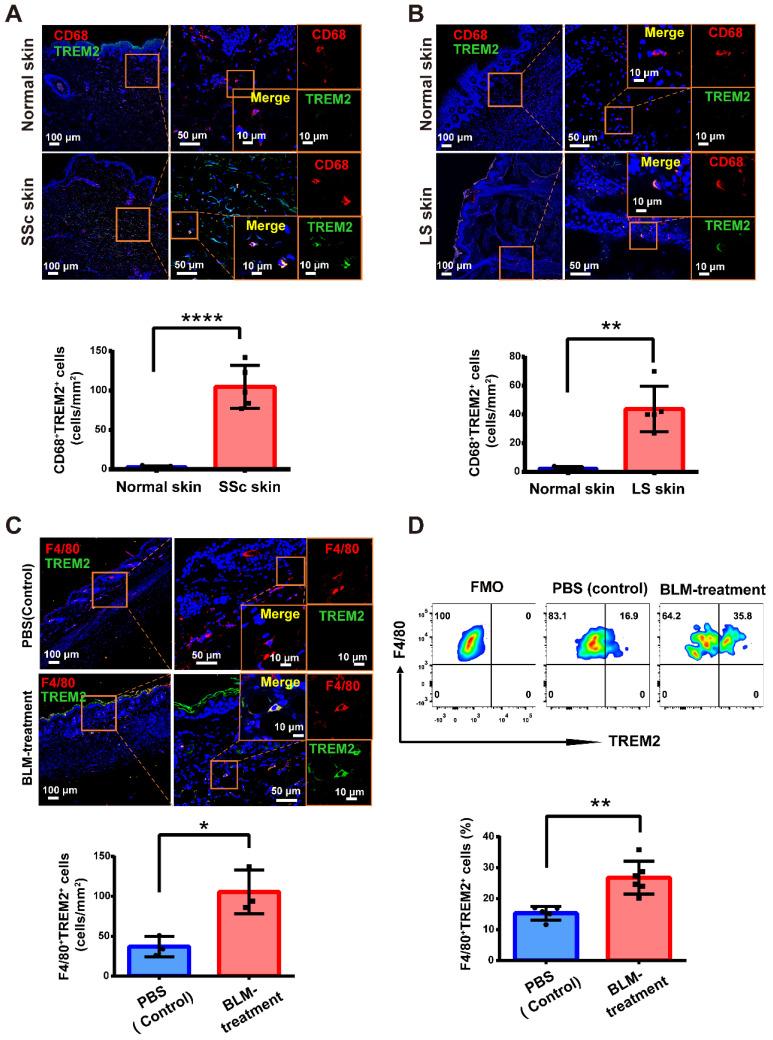 https://cdn.ncbi.nlm.nih.gov/pmc/blobs/d18d/10945340/e6a92caacd9c/thnov14p2232g001.jpg