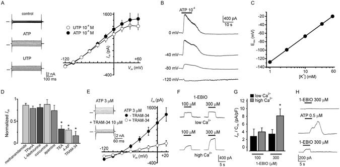 https://cdn.ncbi.nlm.nih.gov/pmc/blobs/d18d/5489490/48a773c87750/41598_2017_4292_Fig4_HTML.jpg