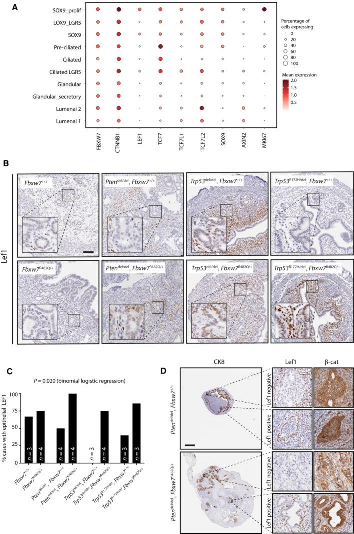 https://cdn.ncbi.nlm.nih.gov/pmc/blobs/d18e/10565641/e21291fa0edc/EMMM-15-e17094-g005.jpg