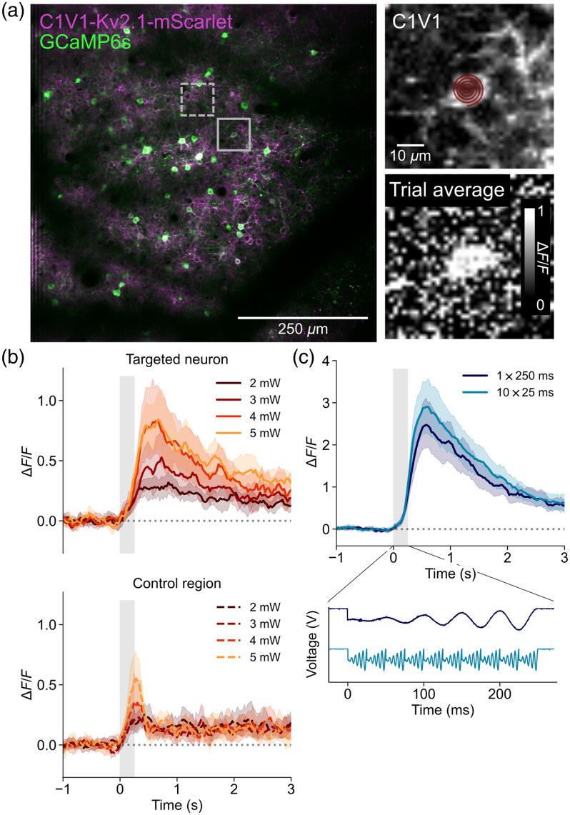 https://cdn.ncbi.nlm.nih.gov/pmc/blobs/d190/10846536/9b03550cddef/NPh-011-015006-g002.jpg
