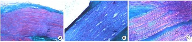 https://cdn.ncbi.nlm.nih.gov/pmc/blobs/d190/5678033/923005a3c0d3/ceo-2016-00997f3.jpg