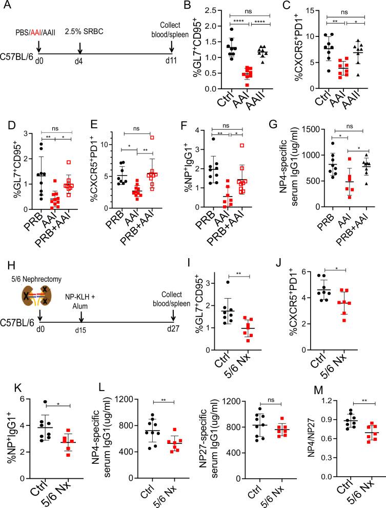 https://cdn.ncbi.nlm.nih.gov/pmc/blobs/d191/11685736/4bde21a8efa3/41467_2024_55187_Fig3_HTML.jpg