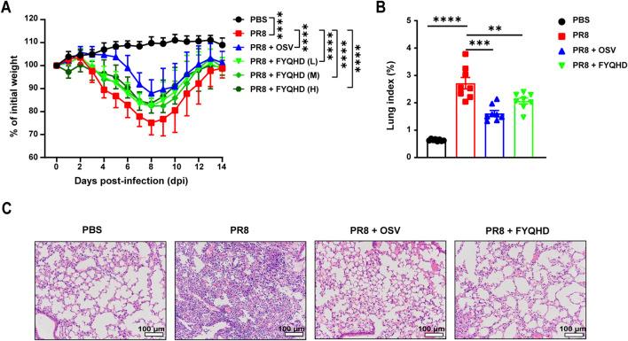 https://cdn.ncbi.nlm.nih.gov/pmc/blobs/d192/11499185/7ad153c2458f/fphar-15-1446749-g001.jpg