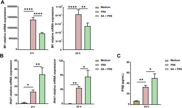 https://cdn.ncbi.nlm.nih.gov/pmc/blobs/d192/11499185/a10ee2f3d70f/fphar-15-1446749-g008.jpg