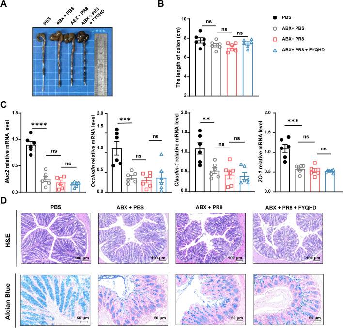 https://cdn.ncbi.nlm.nih.gov/pmc/blobs/d192/11499185/c1bbaf8683a8/fphar-15-1446749-g007.jpg