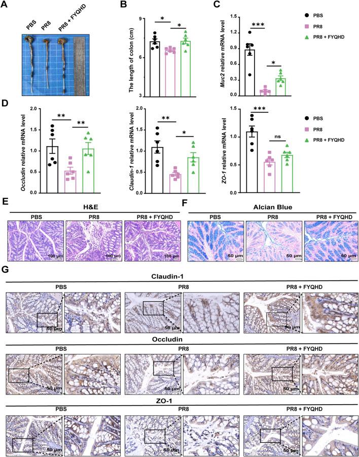 https://cdn.ncbi.nlm.nih.gov/pmc/blobs/d192/11499185/cbd13c732c94/fphar-15-1446749-g003.jpg