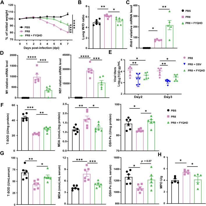 https://cdn.ncbi.nlm.nih.gov/pmc/blobs/d192/11499185/dce3e0a10bab/fphar-15-1446749-g002.jpg
