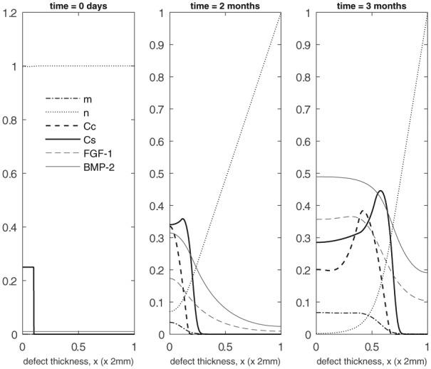 https://cdn.ncbi.nlm.nih.gov/pmc/blobs/d197/6421619/bd60647215f2/10.1177_2041731419827791-fig6.jpg