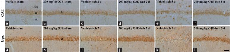 https://cdn.ncbi.nlm.nih.gov/pmc/blobs/d198/4756874/8aed6e38edf3/CMJ-128-2932-g003.jpg