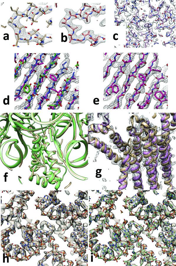 https://cdn.ncbi.nlm.nih.gov/pmc/blobs/d19c/6214191/6fed84474034/nihms-1505982-f0001.jpg