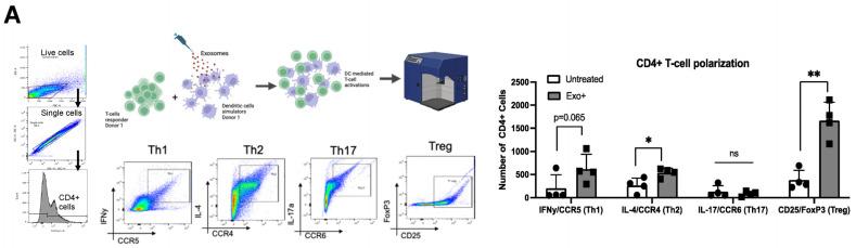 https://cdn.ncbi.nlm.nih.gov/pmc/blobs/d19e/11436225/4c65638f2b87/viruses-16-01443-g002a.jpg