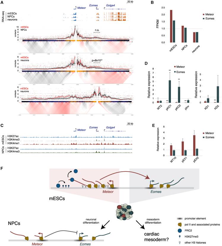 https://cdn.ncbi.nlm.nih.gov/pmc/blobs/d1a1/10320833/3038963260f6/gr5.jpg