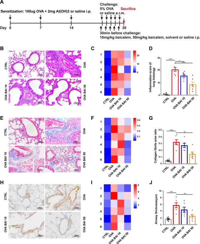 https://cdn.ncbi.nlm.nih.gov/pmc/blobs/d1a1/10765748/4461097877bb/12931_2023_2637_Fig5_HTML.jpg