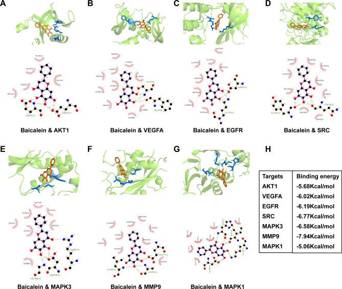 https://cdn.ncbi.nlm.nih.gov/pmc/blobs/d1a1/10765748/d1a6f41457d3/12931_2023_2637_Fig4_HTML.jpg