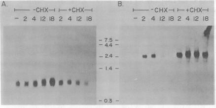 https://cdn.ncbi.nlm.nih.gov/pmc/blobs/d1a2/306131/845459d7a45a/nar00260-0376-a.jpg
