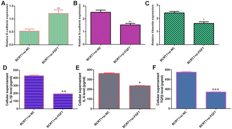 https://cdn.ncbi.nlm.nih.gov/pmc/blobs/d1a4/8221344/6206137ab7a1/aging-13-203106-g007.jpg