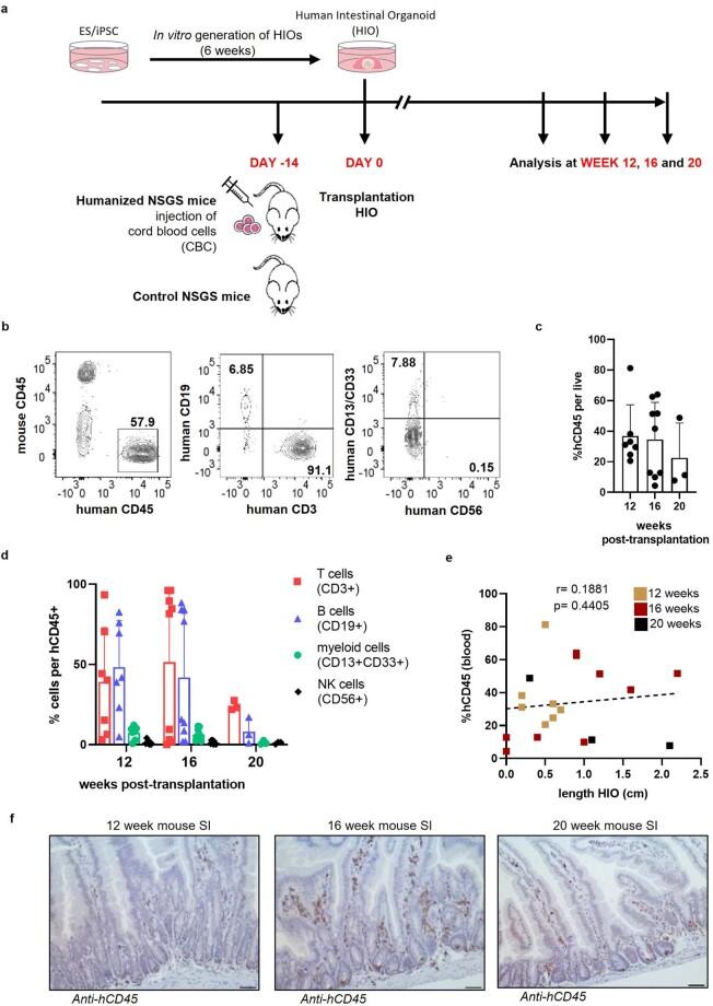 https://cdn.ncbi.nlm.nih.gov/pmc/blobs/d1a7/10264243/09da3acf71a0/41587_2022_1558_Fig6_ESM.jpg