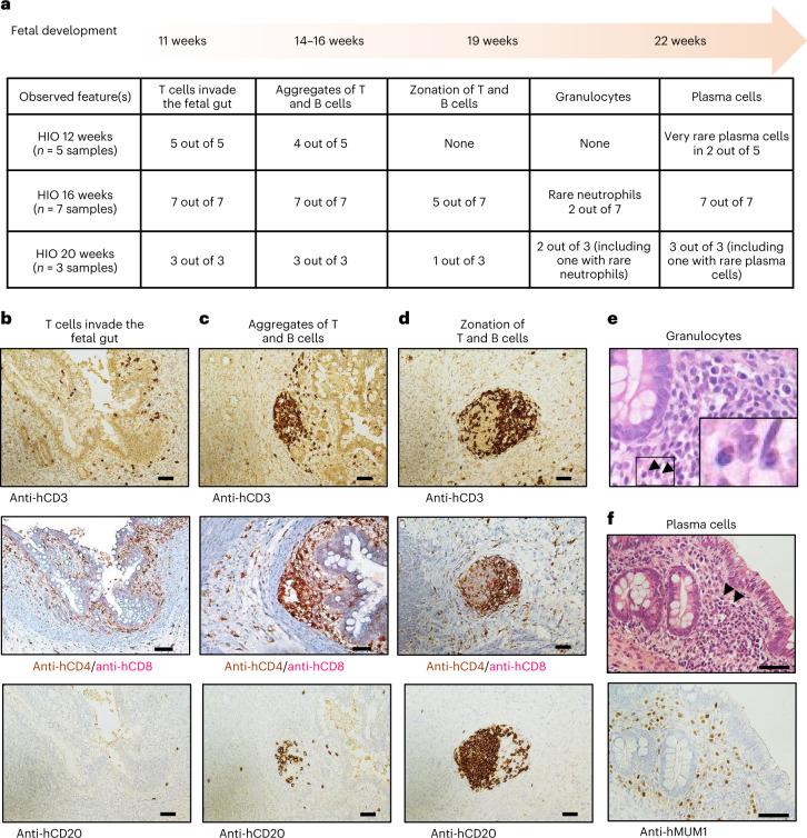 https://cdn.ncbi.nlm.nih.gov/pmc/blobs/d1a7/10264243/2784c03f9687/41587_2022_1558_Fig4_HTML.jpg