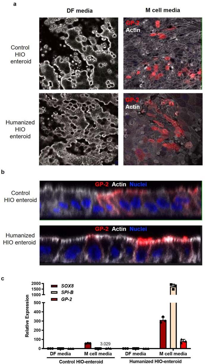 https://cdn.ncbi.nlm.nih.gov/pmc/blobs/d1a7/10264243/3ed2c9c88165/41587_2022_1558_Fig13_ESM.jpg