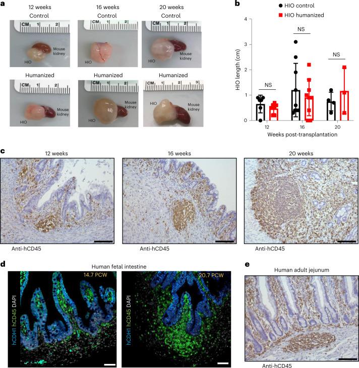 https://cdn.ncbi.nlm.nih.gov/pmc/blobs/d1a7/10264243/495f2c5e3fb0/41587_2022_1558_Fig1_HTML.jpg