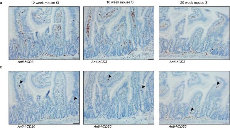 https://cdn.ncbi.nlm.nih.gov/pmc/blobs/d1a7/10264243/a8c36b3061ce/41587_2022_1558_Fig11_ESM.jpg
