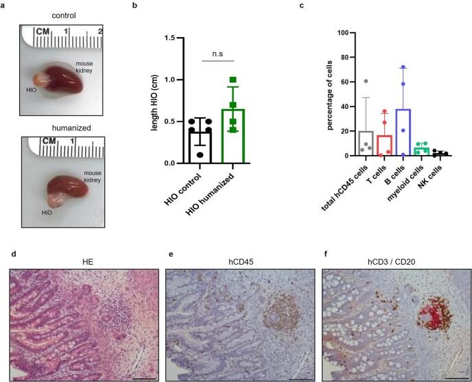 https://cdn.ncbi.nlm.nih.gov/pmc/blobs/d1a7/10264243/b15084f08f87/41587_2022_1558_Fig14_ESM.jpg