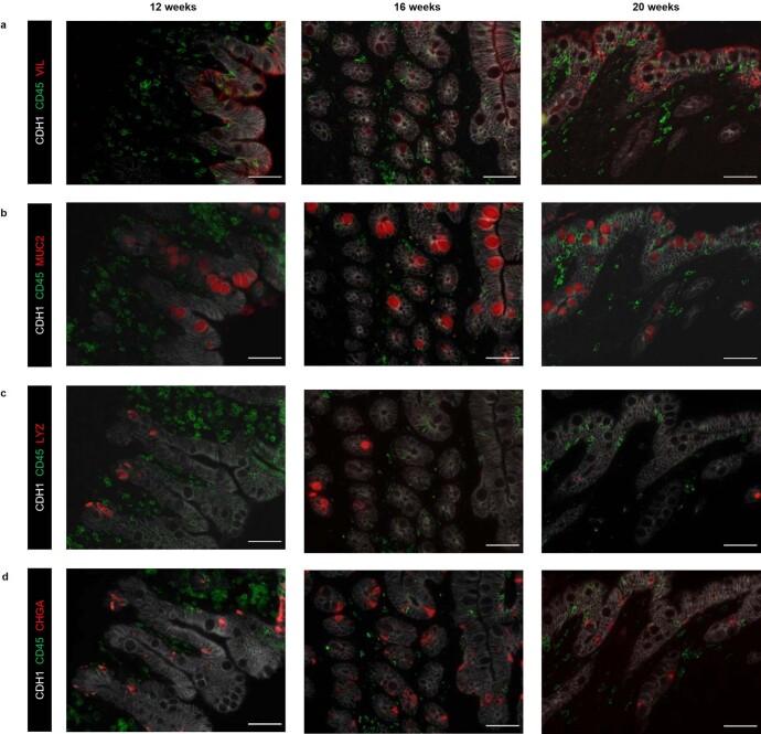 https://cdn.ncbi.nlm.nih.gov/pmc/blobs/d1a7/10264243/c1883d2c33ff/41587_2022_1558_Fig7_ESM.jpg