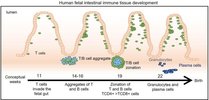 https://cdn.ncbi.nlm.nih.gov/pmc/blobs/d1a7/10264243/d8da000f48f4/41587_2022_1558_Fig12_ESM.jpg
