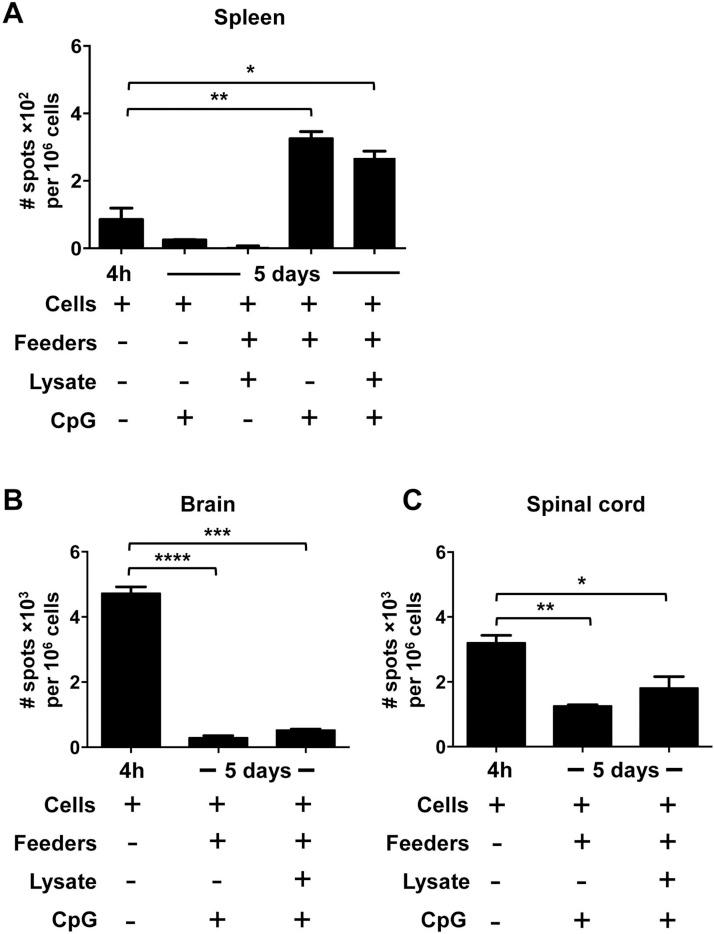 https://cdn.ncbi.nlm.nih.gov/pmc/blobs/d1a8/7112508/5374cca112bf/gr2_lrg.jpg