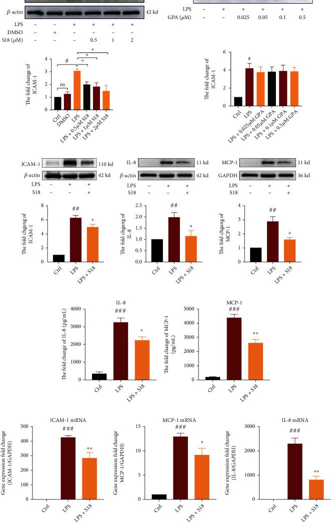 https://cdn.ncbi.nlm.nih.gov/pmc/blobs/d1a8/9402299/11011590f73e/OMCL2022-6776050.002.jpg