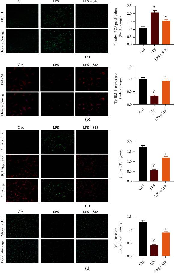 https://cdn.ncbi.nlm.nih.gov/pmc/blobs/d1a8/9402299/4066022dc076/OMCL2022-6776050.003.jpg