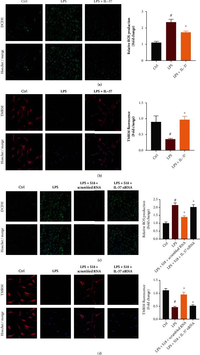 https://cdn.ncbi.nlm.nih.gov/pmc/blobs/d1a8/9402299/5b79fe541d5a/OMCL2022-6776050.006.jpg