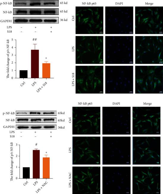 https://cdn.ncbi.nlm.nih.gov/pmc/blobs/d1a8/9402299/a91a4f521dc1/OMCL2022-6776050.004.jpg