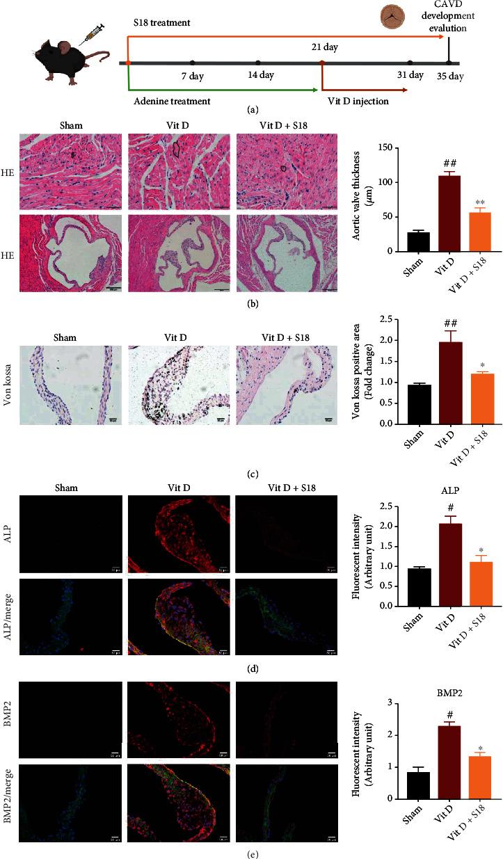 https://cdn.ncbi.nlm.nih.gov/pmc/blobs/d1a8/9402299/f3d8d1d9586b/OMCL2022-6776050.008.jpg