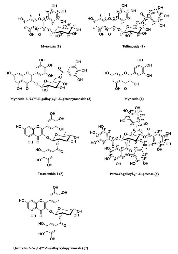 https://cdn.ncbi.nlm.nih.gov/pmc/blobs/d1aa/11767586/268ee1a226d5/molecules-30-00311-g002.jpg